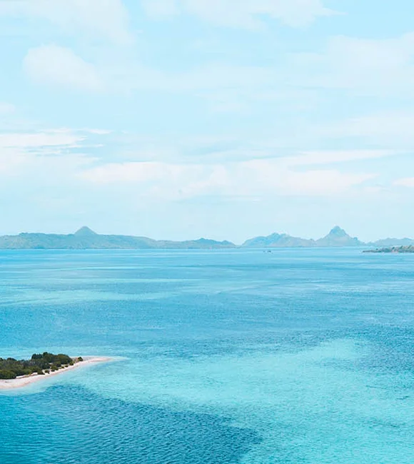 gallery - Captured by Tanvir Ahsan | AI Architect & Technical SEO